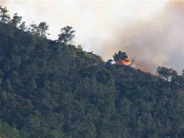 Fires in Ourense, León, and Zamora result in Spain's largest carbon emissions since at least the...
