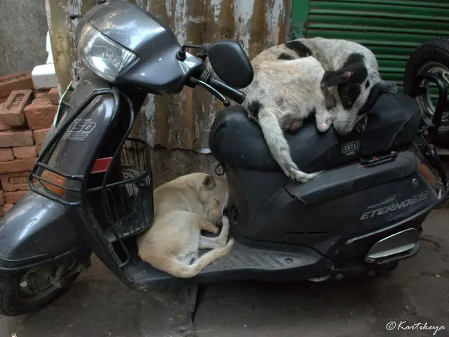 Inebriated riders of electric scooters (16) and pedelecs (40) sustain injuries in individual...