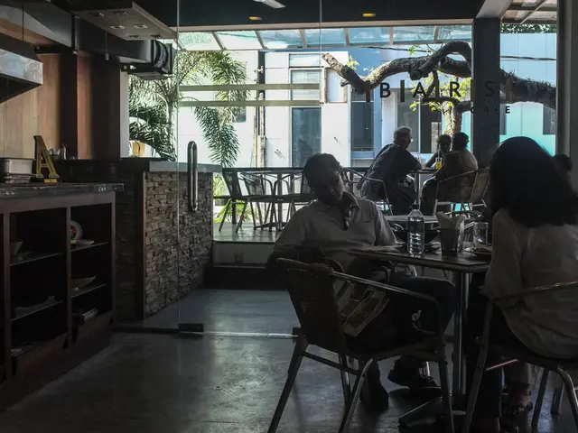 University enrollment numbers are on the rise.