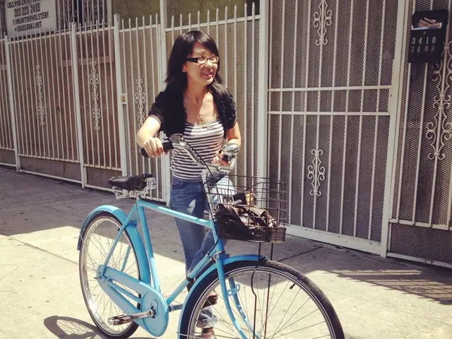 Seeking Transportation Services
