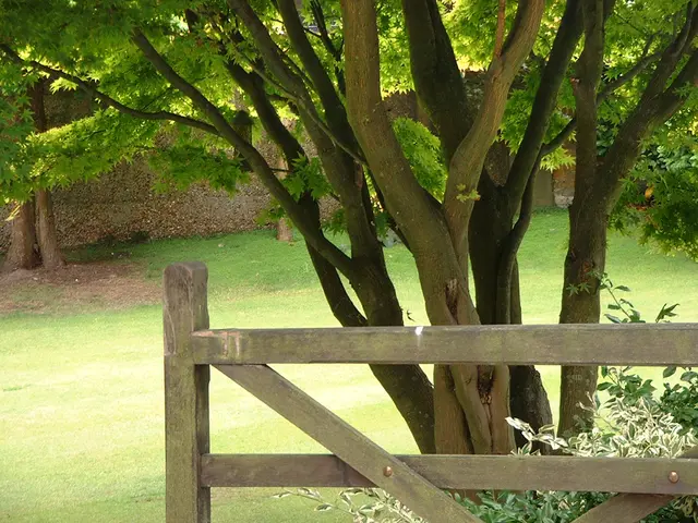 Tuberculosis, According to John Green, Pervades Every Aspect-Even in Climate Change