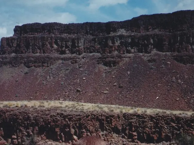 In this picture there is a kid wearing a white T-shirt is carrying a camera and there are mountains...