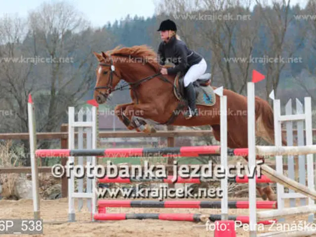 Here we see a woman riding a horse and we see few trees.