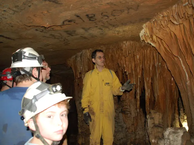 In this picture I can see few persons standing in front and I see that 3 of them are wearing...