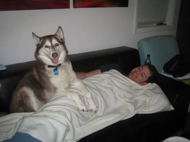 In this image I see a man who is lying on the couch and he is smiling and I can also see that there...